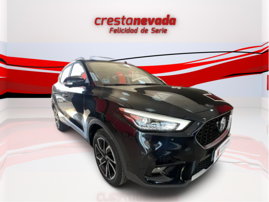 Imagen de Mg ZS