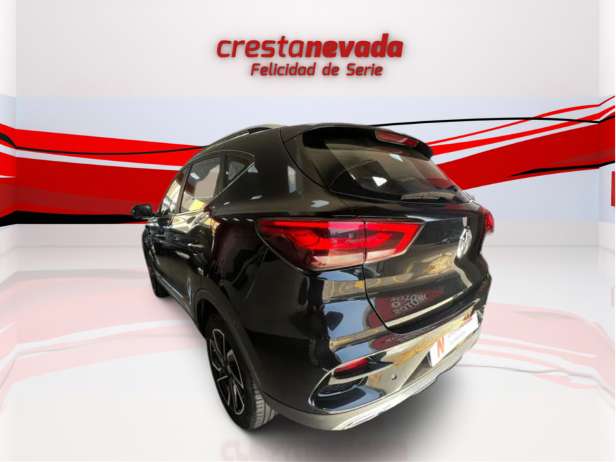 Imagen de Mg ZS