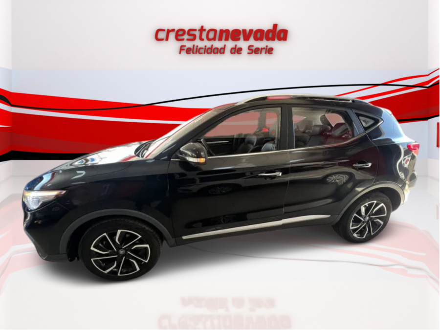Imagen de Mg ZS