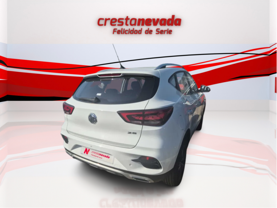 Imagen de Mg ZS