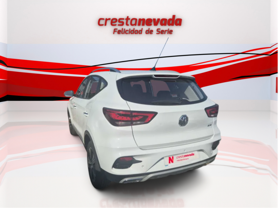 Imagen de Mg ZS