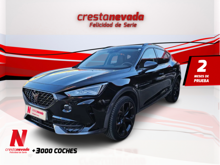 Imagen de cupra Formentor