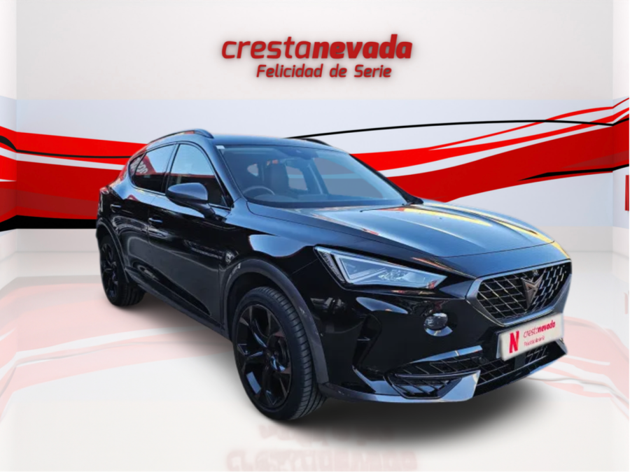Imagen de cupra Formentor