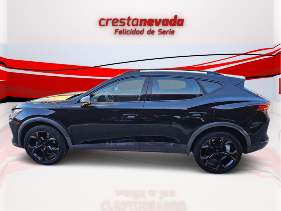 Imagen de cupra Formentor