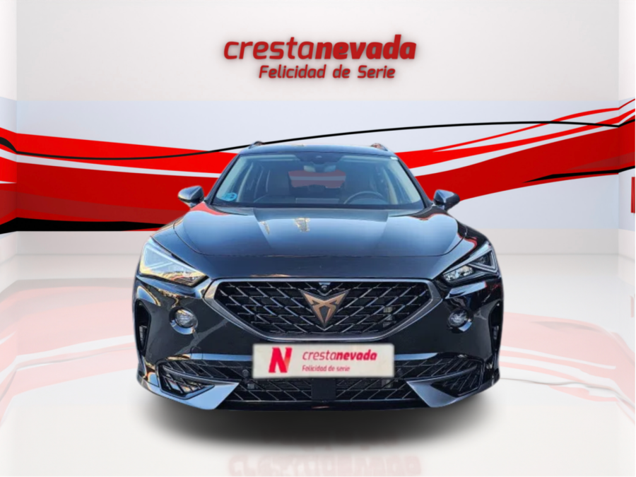 Imagen de cupra Formentor