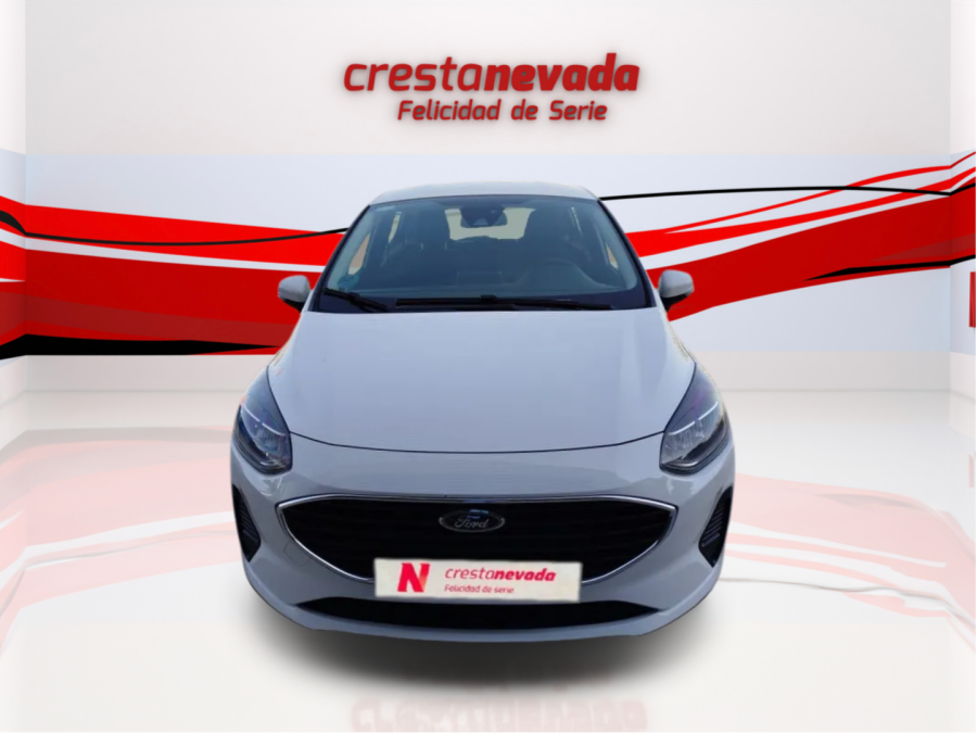 Imagen de Ford Fiesta