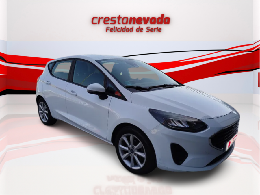 Imagen de Ford Fiesta