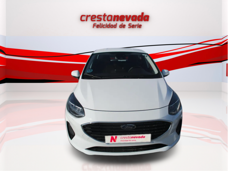 Imagen de Ford Fiesta