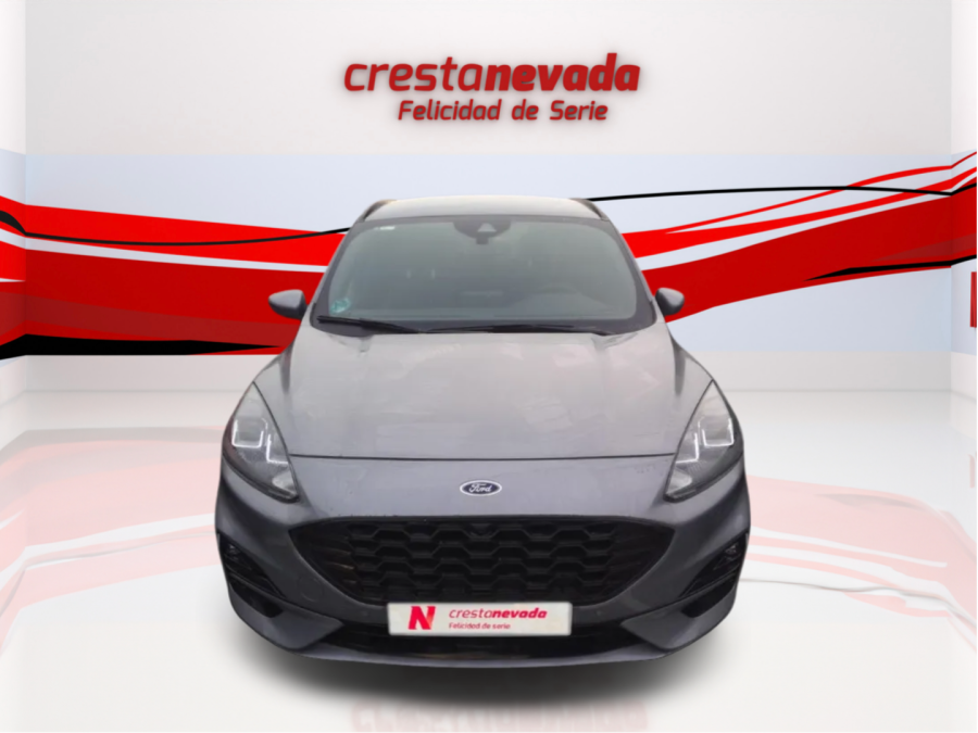 Imagen de Ford Kuga