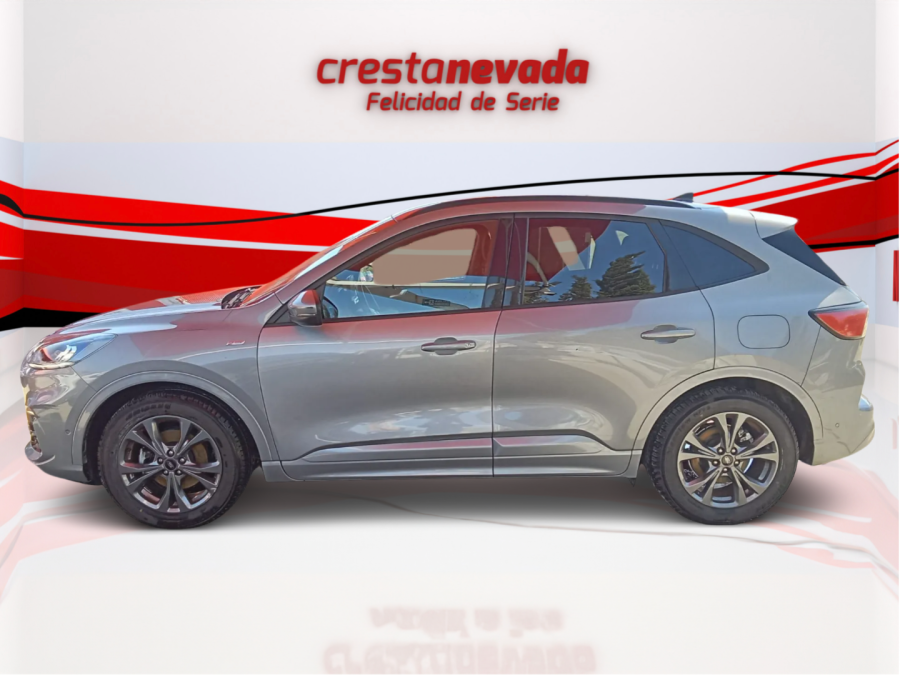 Imagen de Ford Kuga