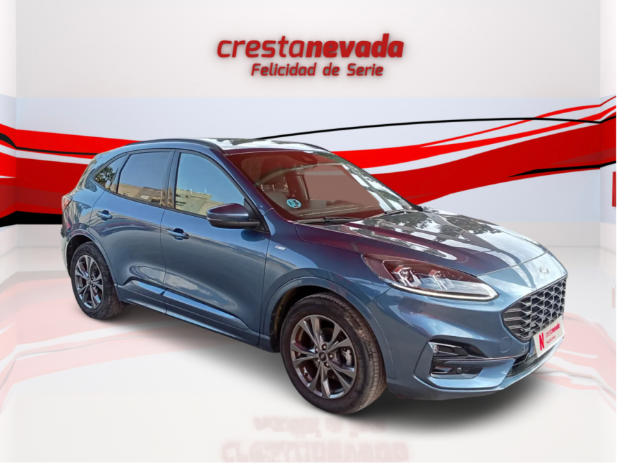 Imagen de Ford Kuga