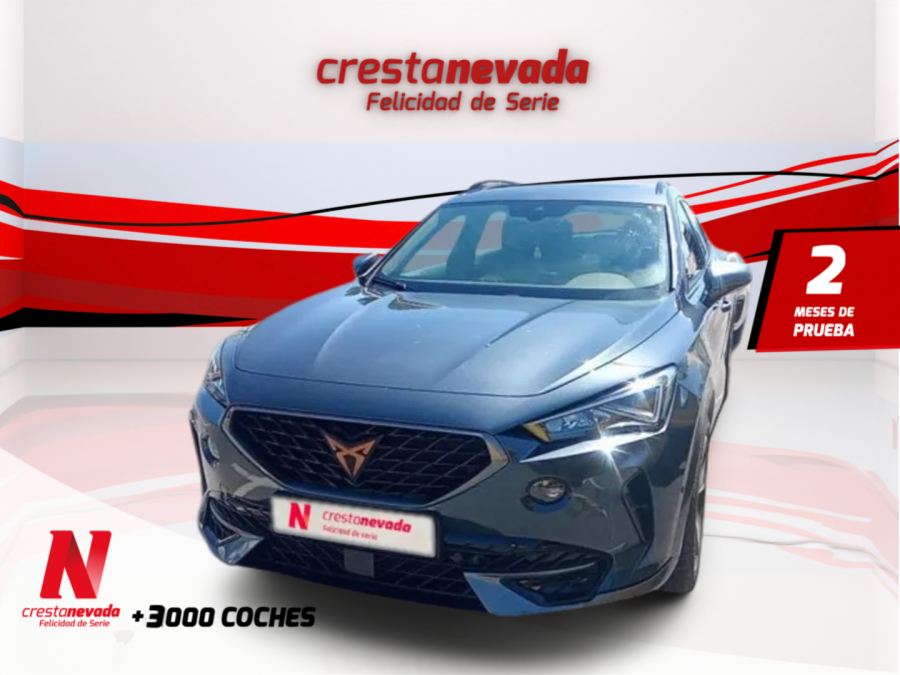 Imagen de cupra Formentor