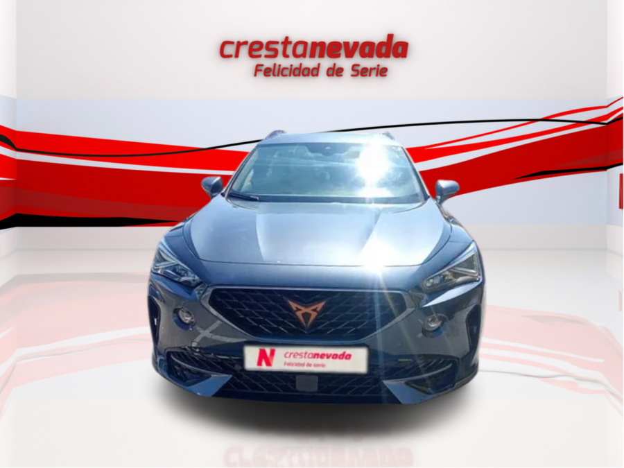 Imagen de cupra Formentor