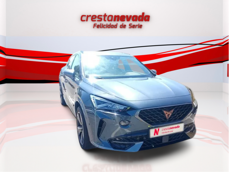 Imagen de cupra Formentor