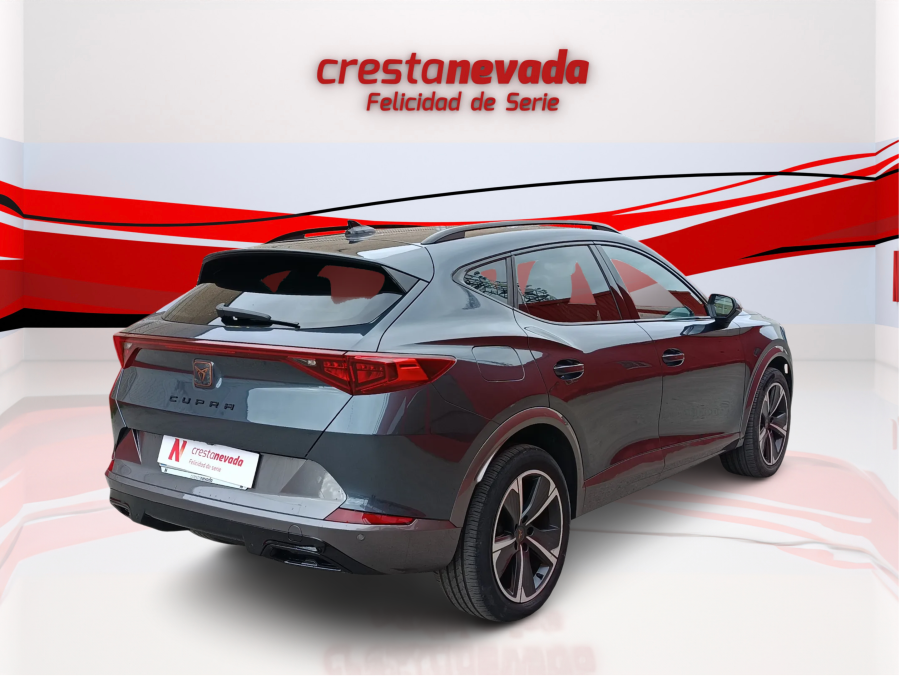 Imagen de cupra Formentor