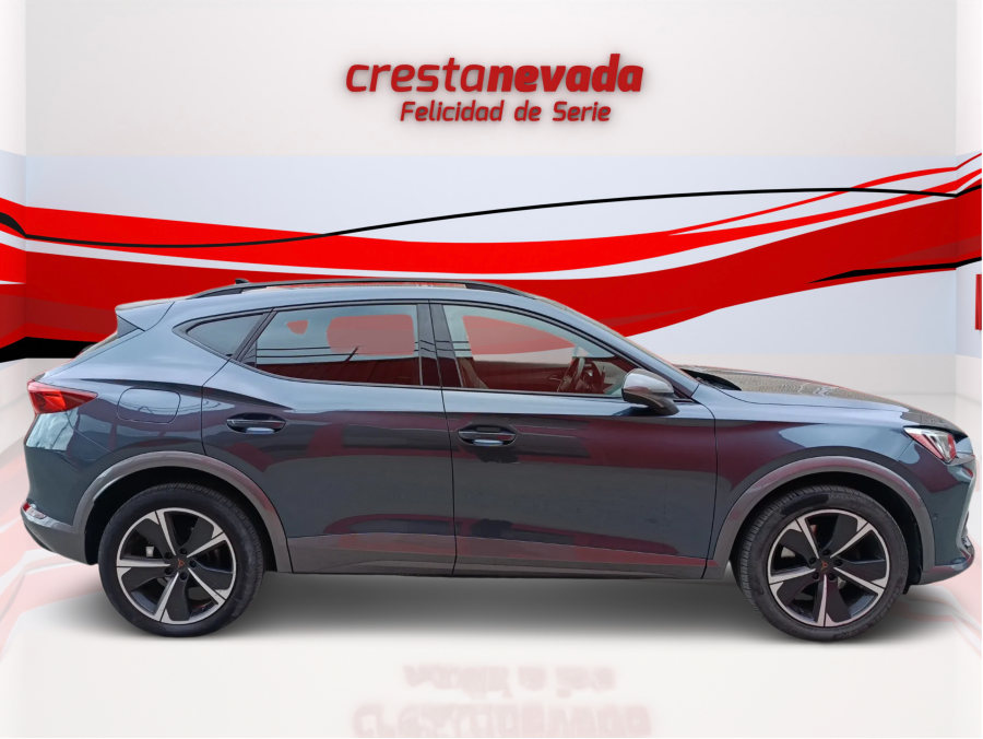 Imagen de cupra Formentor