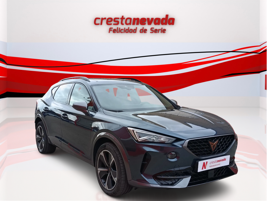 Imagen de cupra Formentor