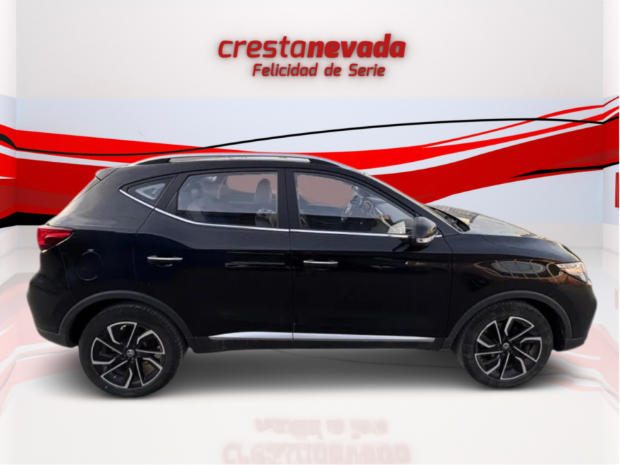 Imagen de Mg ZS