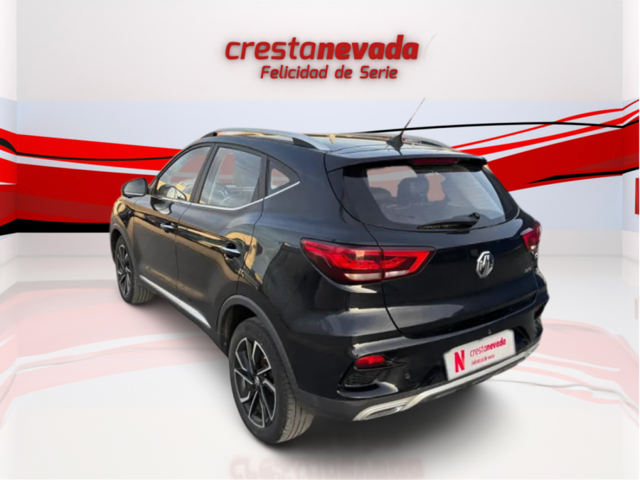 Imagen de Mg ZS