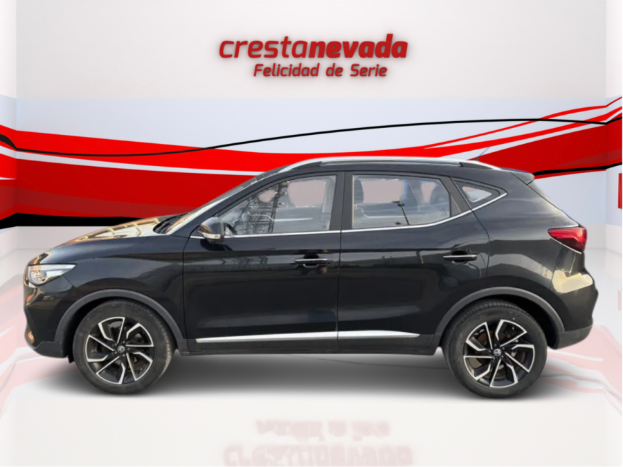 Imagen de Mg ZS