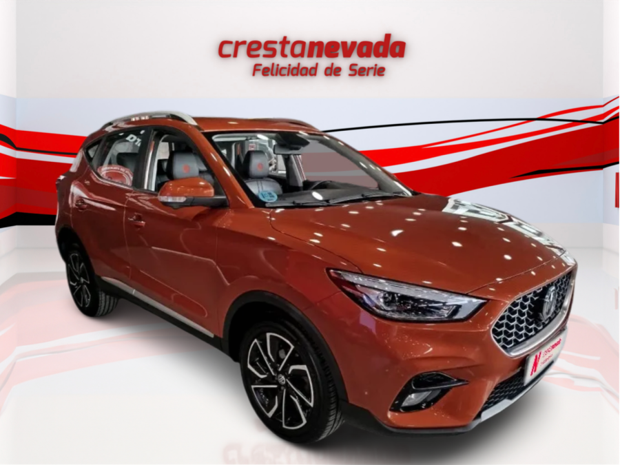 Imagen de Mg ZS