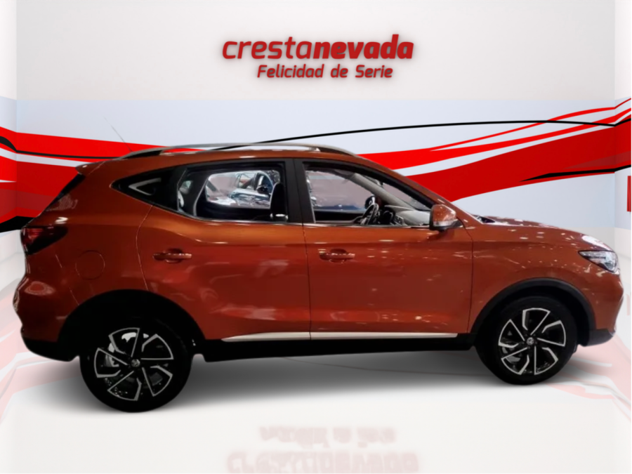 Imagen de Mg ZS