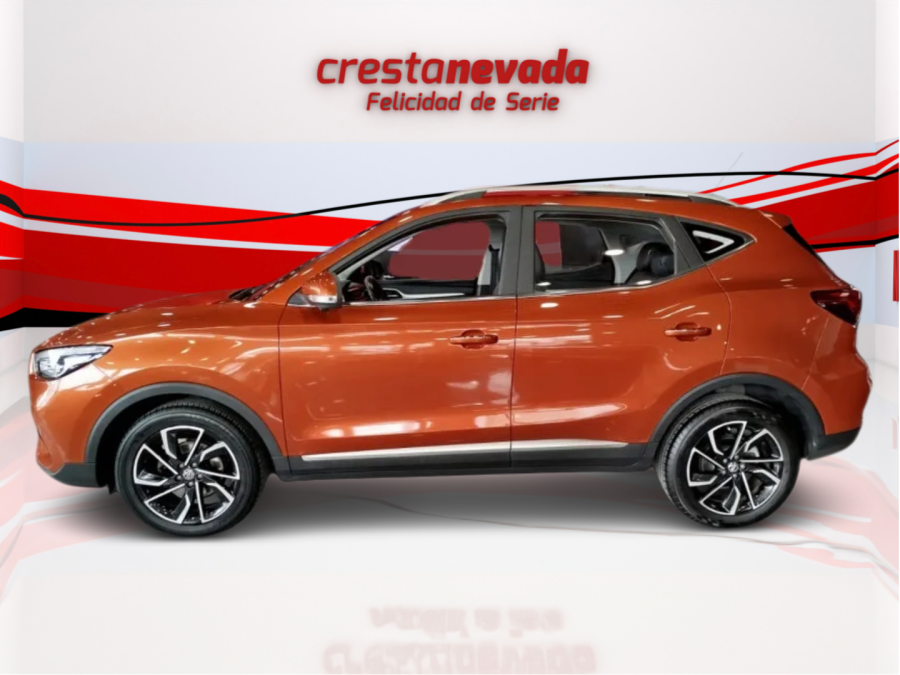 Imagen de Mg ZS