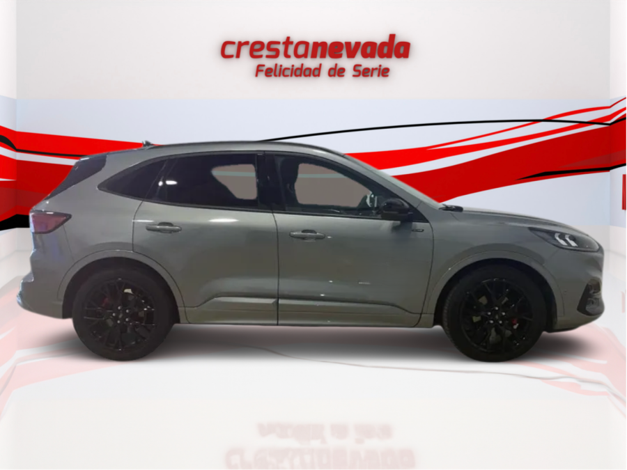 Imagen de Ford Kuga