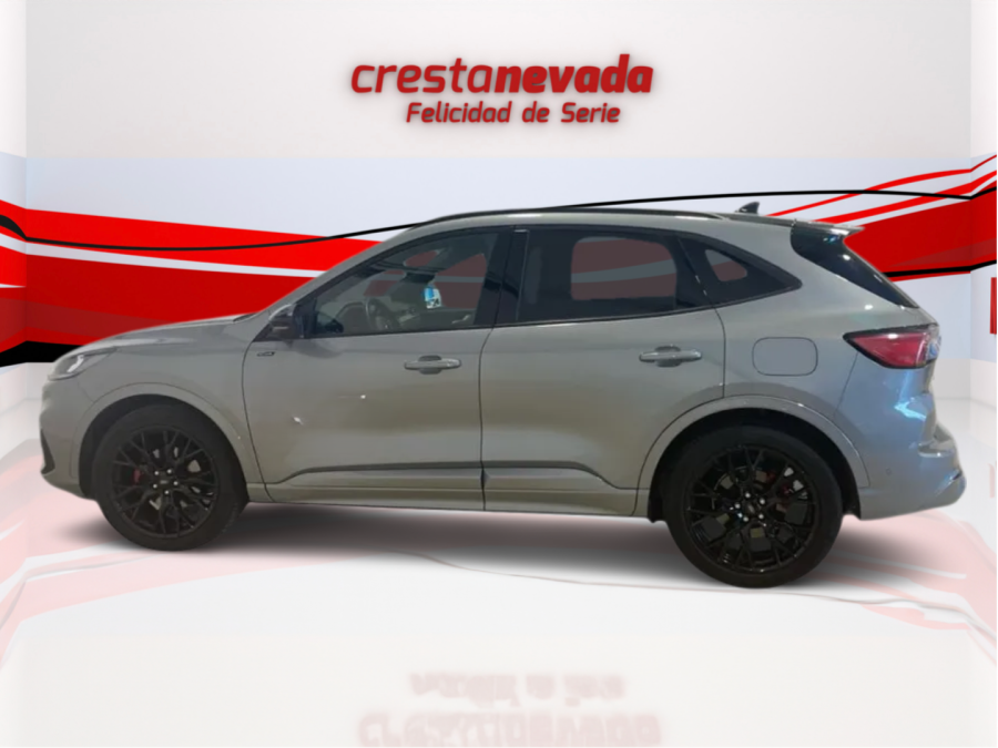 Imagen de Ford Kuga