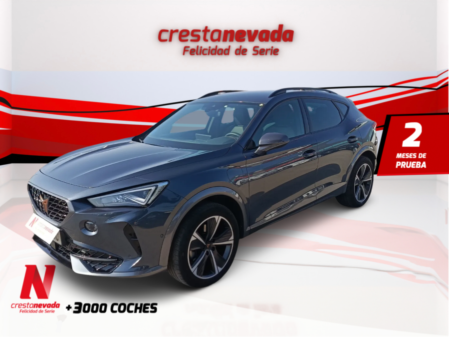 Imagen de cupra Formentor
