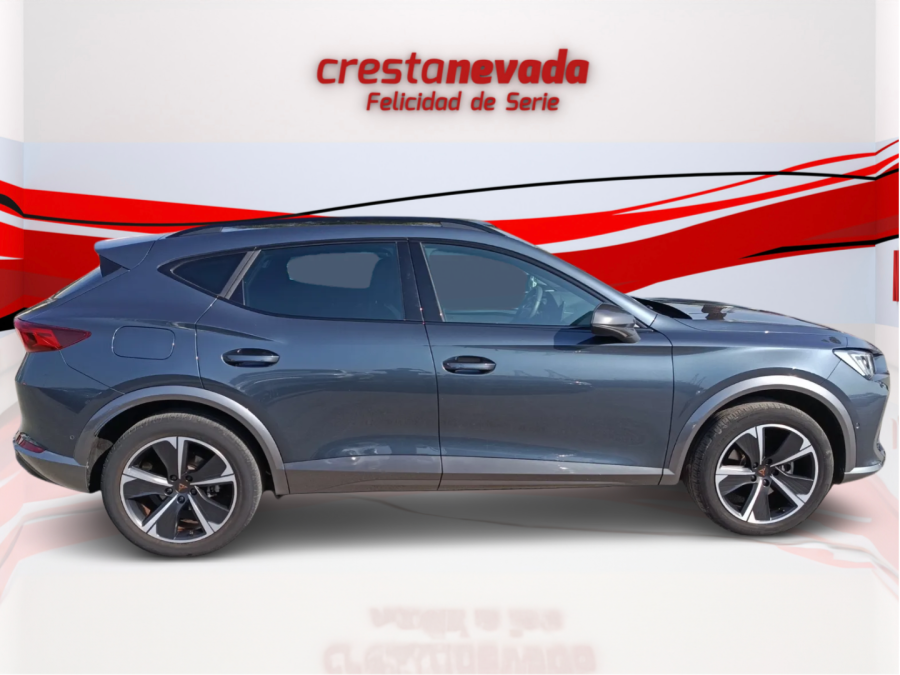 Imagen de cupra Formentor