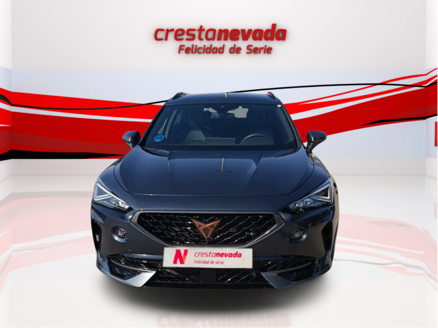 Imagen de cupra Formentor