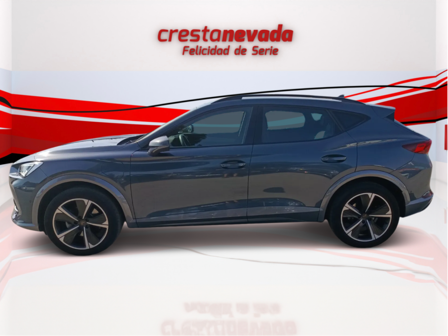 Imagen de cupra Formentor