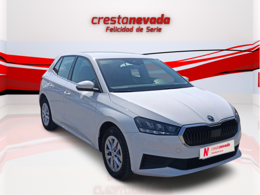 Imagen de Skoda Fabia