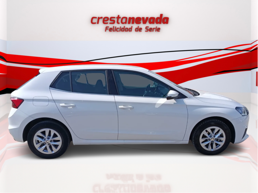 Imagen de Skoda Fabia