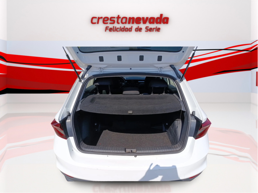 Imagen de Skoda Fabia
