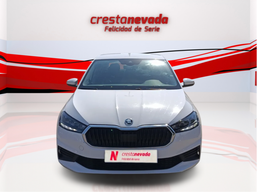 Imagen de Skoda Fabia
