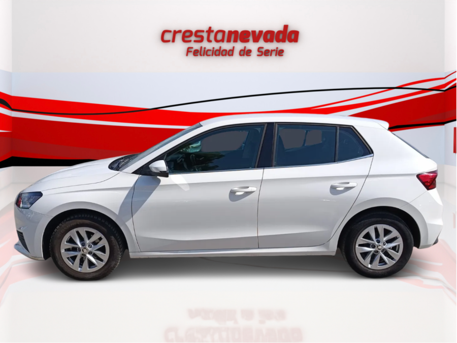 Imagen de Skoda Fabia