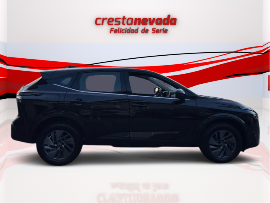 Imagen de NISSAN QASHQAI
