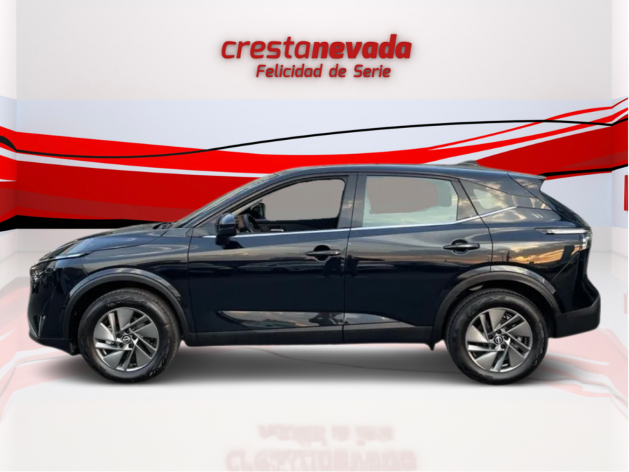 Imagen de NISSAN QASHQAI