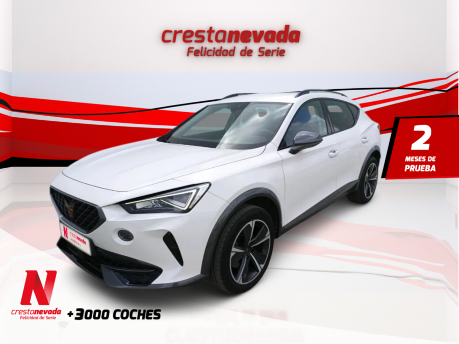 Imagen de cupra Formentor