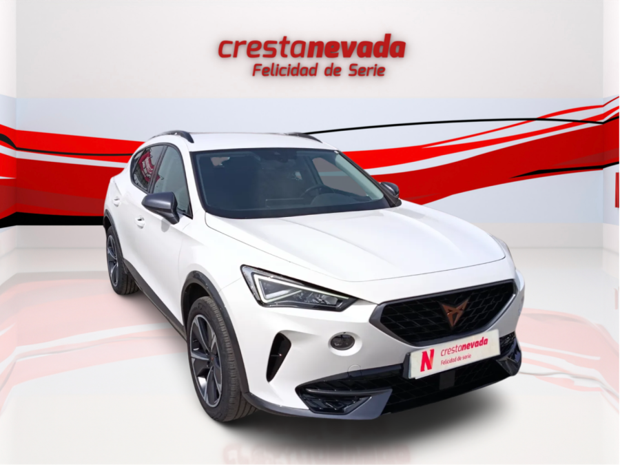 Imagen de cupra Formentor