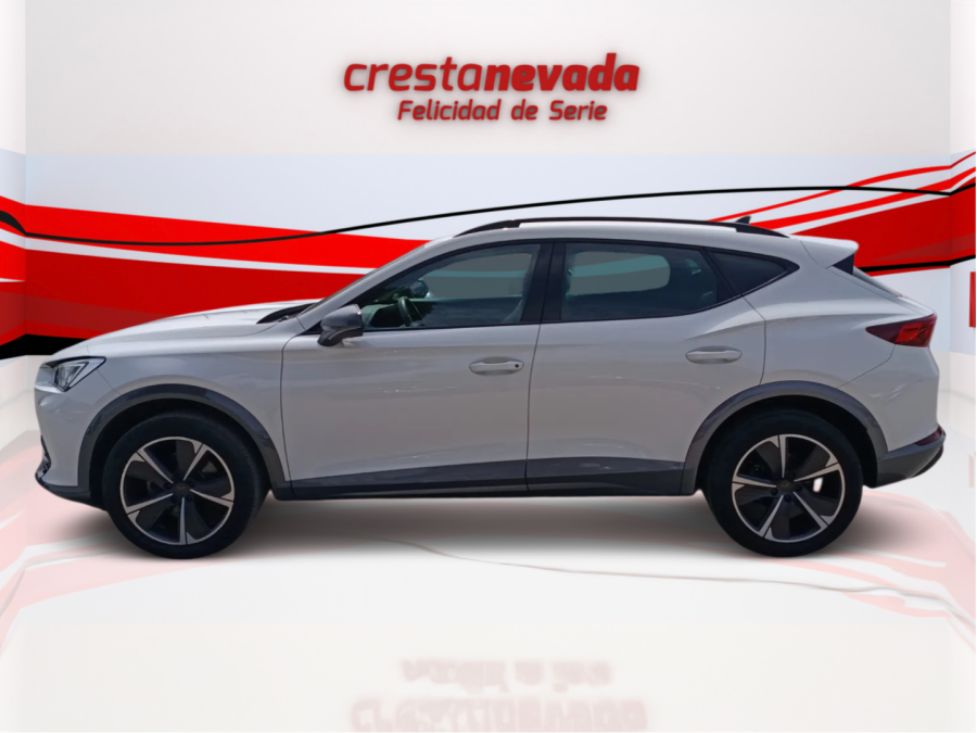 Imagen de cupra Formentor