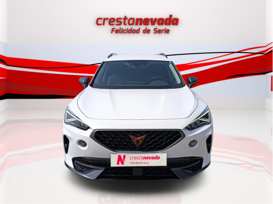 Imagen de cupra Formentor