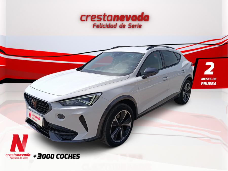 Imagen de cupra Formentor