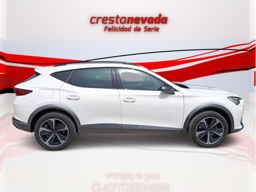 Imagen de cupra Formentor