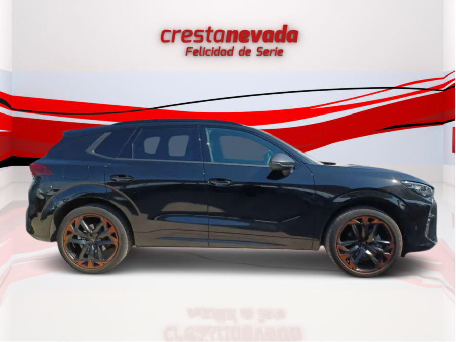 Imagen de cupra Terramar