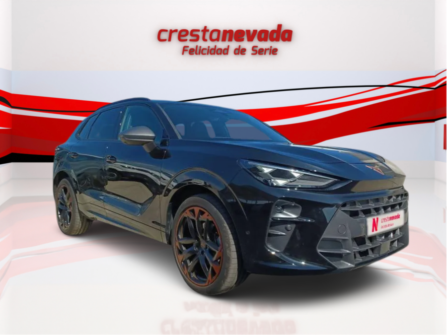 Imagen de cupra Terramar