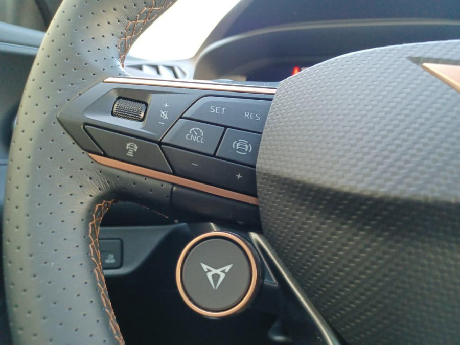 Imagen de cupra Terramar