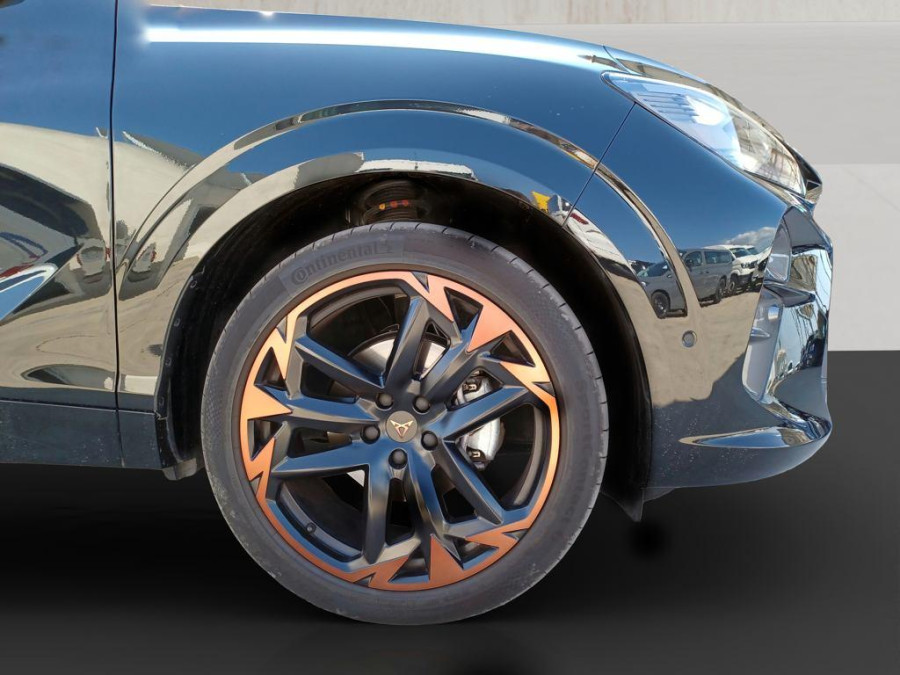 Imagen de cupra Terramar